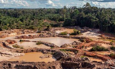 delitos ambientales en Amazonas-acn