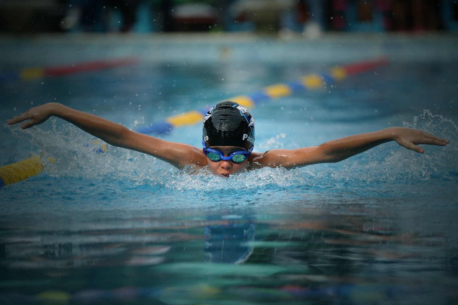 Campeonato de Natación