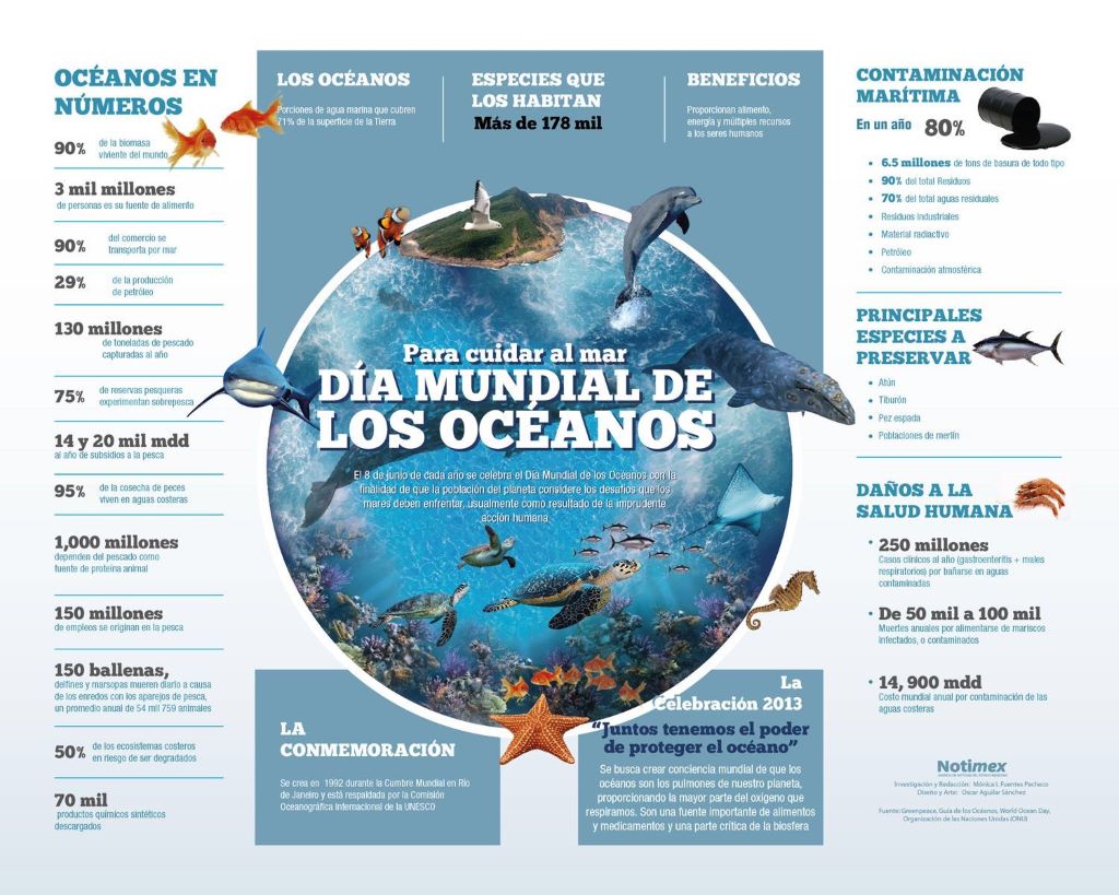 Día Mundial de los Océanos - noticiacn