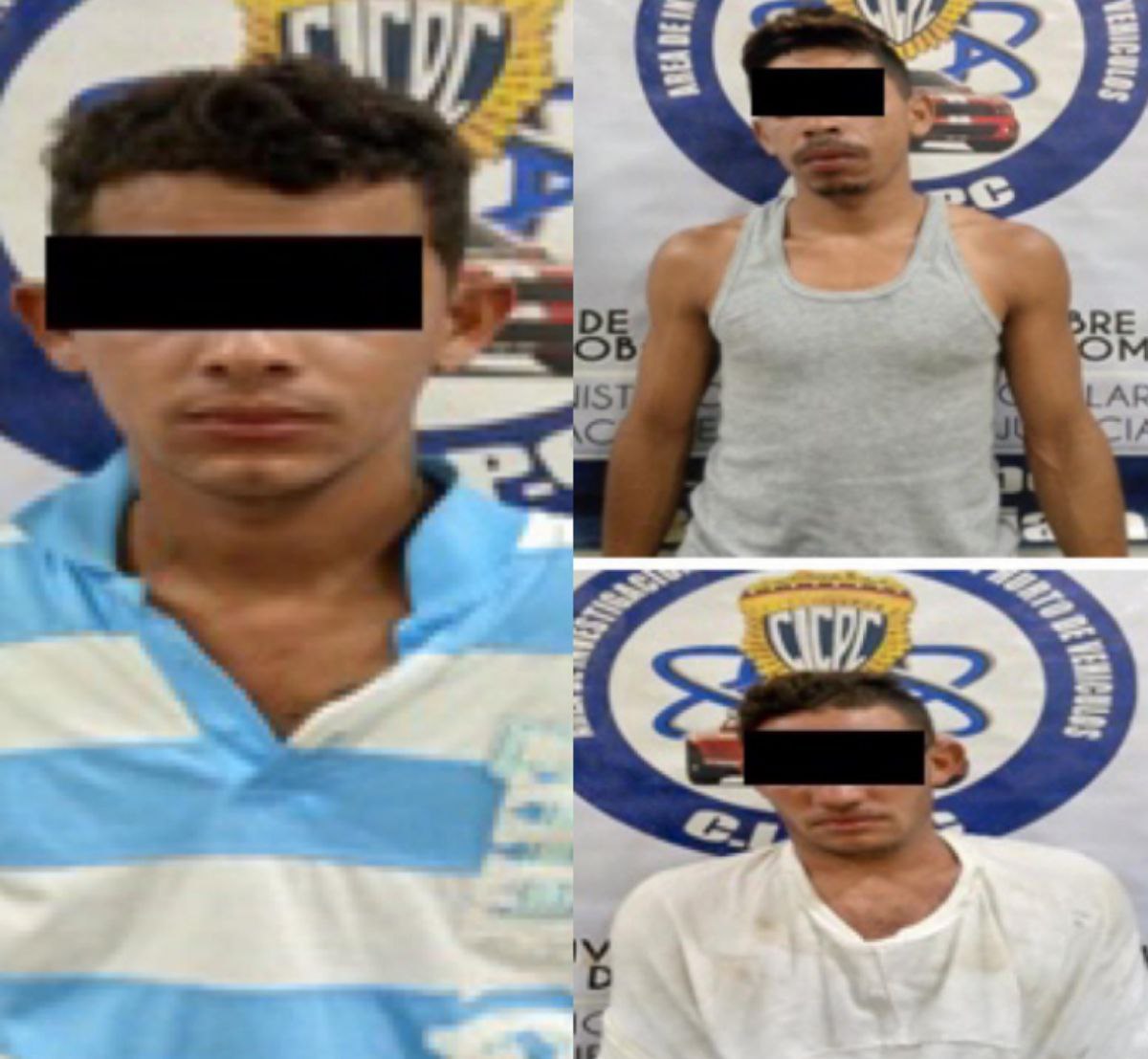 detenidos robo viviendas San Joaquín-acn