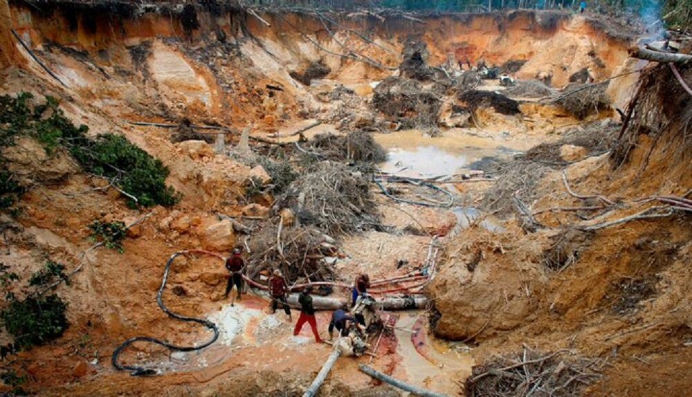 FANB ha evacuado a 6.547 mineros ilegales - noticiacn