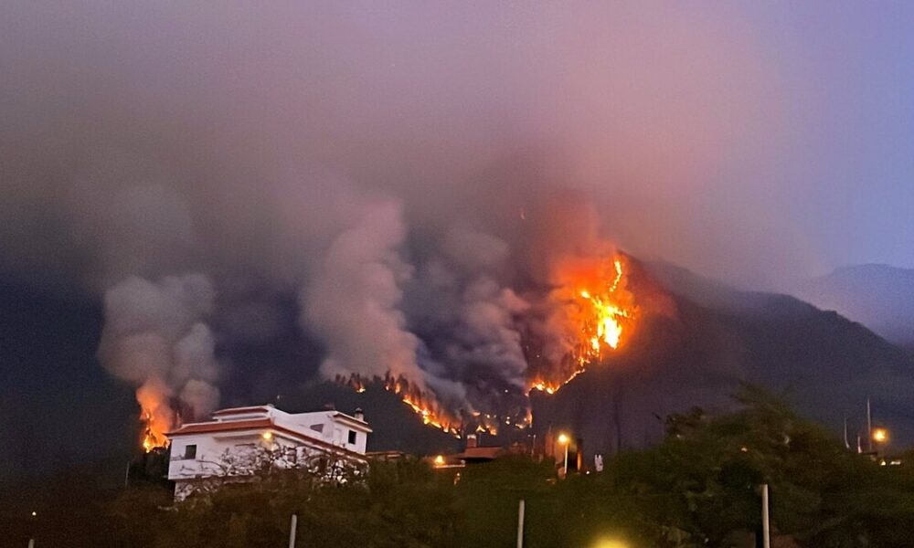 incendio forestal Tenerife - acn