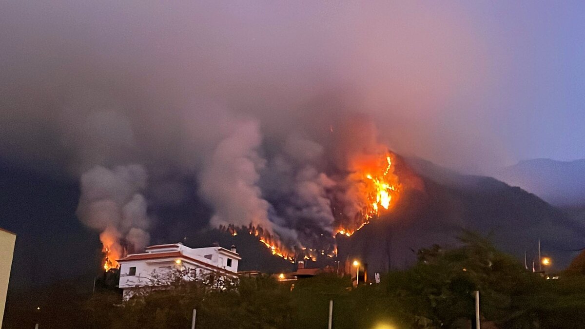 incendio forestal Tenerife - acn