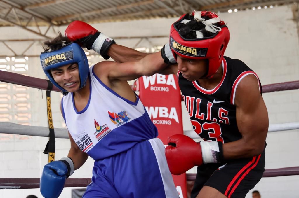 AMB apunta al futuro del boxeo venezolano - noticiacn