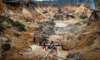 ONG denuncia persistencia de minería ilegal - noticiacn