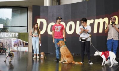 Dogourmet cerró fase de postulaciones para su calendario - noticiacn