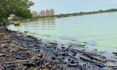 Retiran 213 toneladas de desechos plásticos en Lago de Maracaibo -. noticiacn