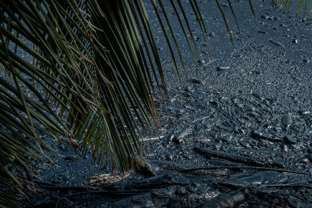 Extraen casi 135.000 toneladas de desechos del Lago de Maracaibo - noticiacn