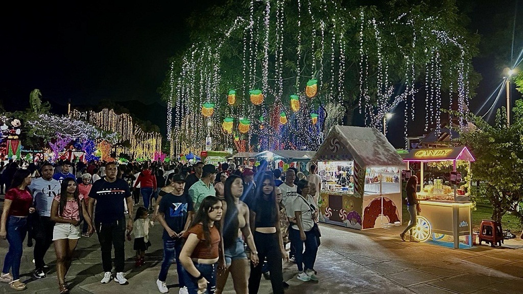Gran Bazar Navideño y el Parque de Luces harán una pausa - noticiacn