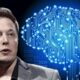 Elon Musk implante chip cerebro humano-acn
