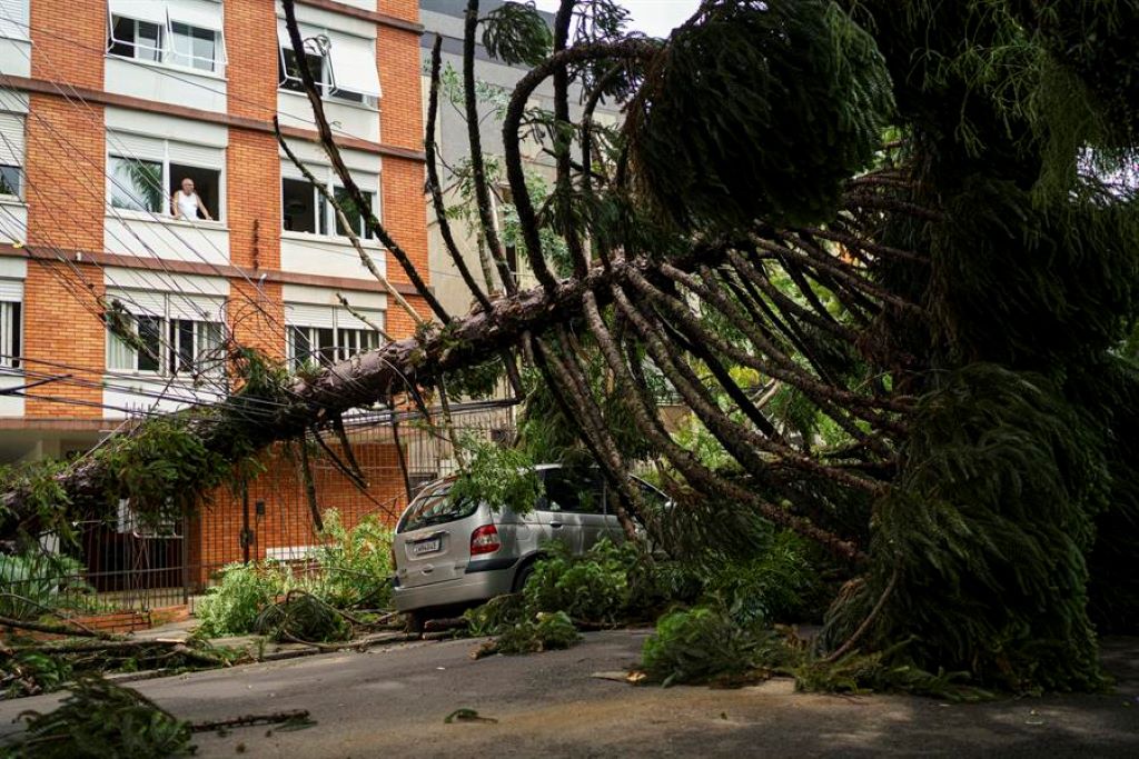 Un temporal en el sur de Brasil deja un muerto - noticiacn