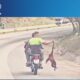 Investigan motorizados llevaban mono por la cola en Carabobo - Agencia Carabobeña de Noticias - Agencia ACN- Noticias Carabobo