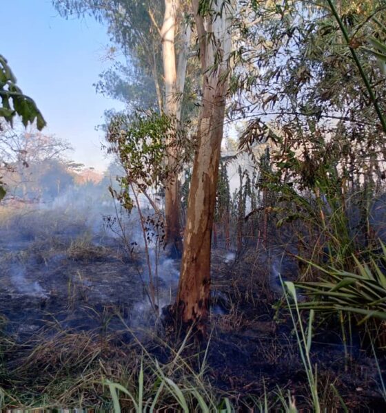 Incendios de vegetación ponen en riesgo afluentes de agua