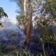 Incendios de vegetación ponen en riesgo afluentes de agua