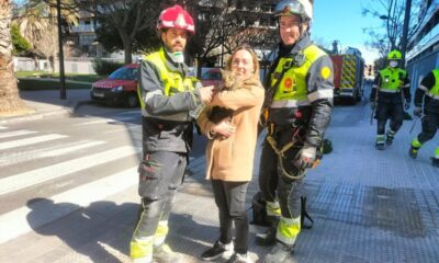 gato sobrevivió a incendio edificio Valencia - Agencia Carabobeña de Noticias - Agencia ACN- Noticias Carabobo
