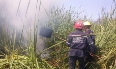 Lacava: “Estamos combatiendo con todos nuestros bomberos los incendios forestales”• -Agencia Carabobeña de Noticias – ACN – Carabobo