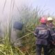 Lacava: “Estamos combatiendo con todos nuestros bomberos los incendios forestales”• -Agencia Carabobeña de Noticias – ACN – Carabobo