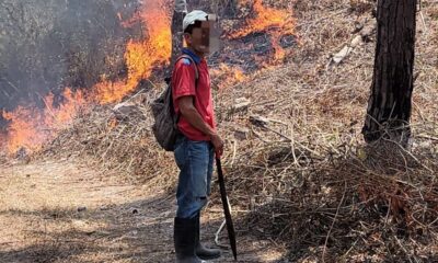 Detenidas 16 personas por provocar incendios forestales en distintos puntos del país-Agencia Carabobeña de Noticias – ACN – Sucesos