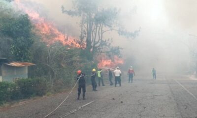 Más de 3.000 incendios en Venezuela - Agencia Carabobeña de Noticias