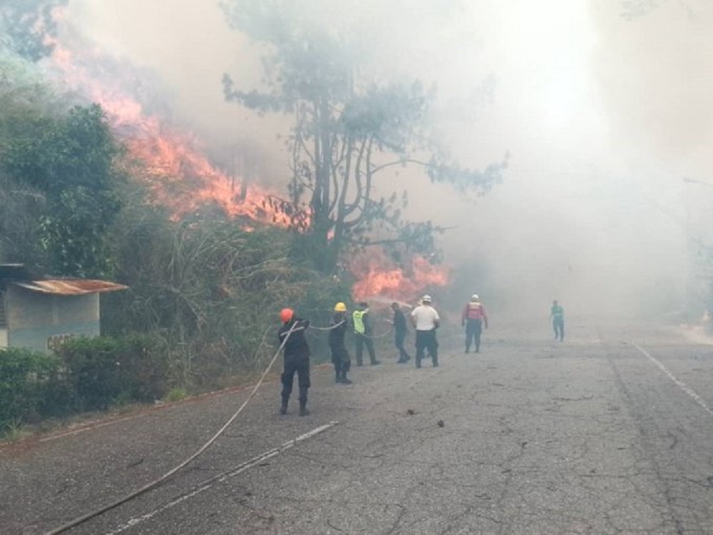 Más de 3.000 incendios en Venezuela - Agencia Carabobeña de Noticias