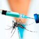 aumento de casos de dengue en Brasil - Agencia Carabobeña de Noticia - Agencia ACN - Noticias nacional