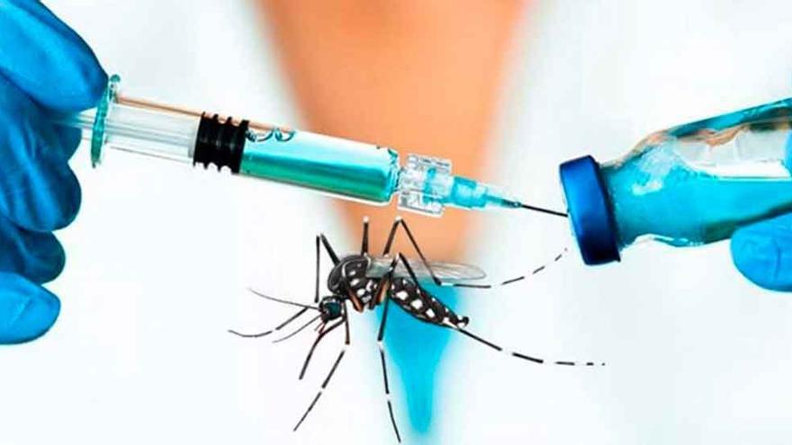 aumento de casos de dengue en Brasil - Agencia Carabobeña de Noticia - Agencia ACN - Noticias nacional