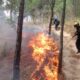 Incendio en cerro Indio Desnudo - Agencia Carabobeña de Noticia - Agencia ACN - Noticias carabobo
