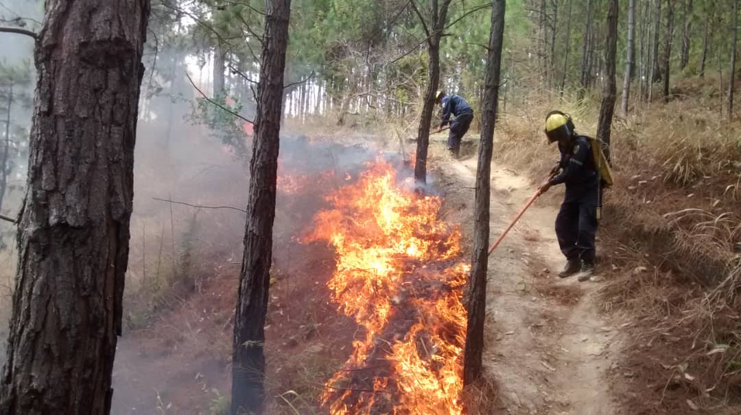 Incendio en cerro Indio Desnudo - Agencia Carabobeña de Noticia - Agencia ACN - Noticias carabobo