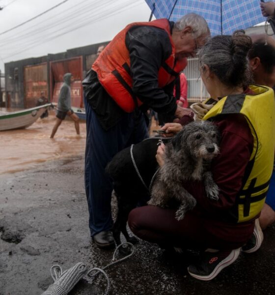Suben las víctimas fatales por lluvias en Rio Grande Brasil - Agencia Carabobeña de Noticias - Agencia ACN- Noticias Carabobo