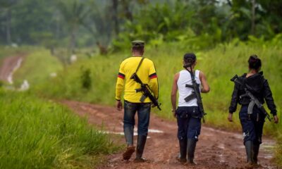 enfrentamientos armados entre disidencia en Colombia dejan 11 muertos - Agencia Carabobeña de Noticias - Agencia ACN- Noticias Carabobo
