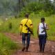 enfrentamientos armados entre disidencia en Colombia dejan 11 muertos - Agencia Carabobeña de Noticias - Agencia ACN- Noticias Carabobo