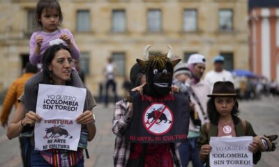 Colombia aprueba ley que prohíbe corridas de toros - Agencia Carabobeña de Noticias - Agencia ACN- Noticias Carabobo