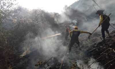 Nuevo incendio en el Ávila cerca del Teleférico - Agencia Carabobeña de Noticias - Agencia ACN- Noticias Carabobo