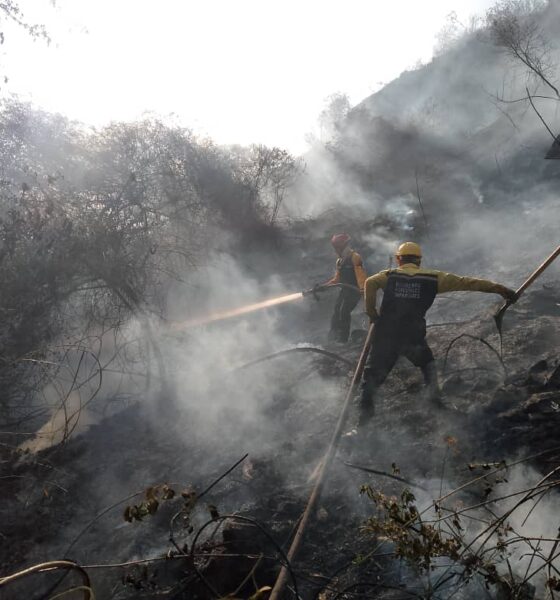 Nuevo incendio en el Ávila cerca del Teleférico - Agencia Carabobeña de Noticias - Agencia ACN- Noticias Carabobo