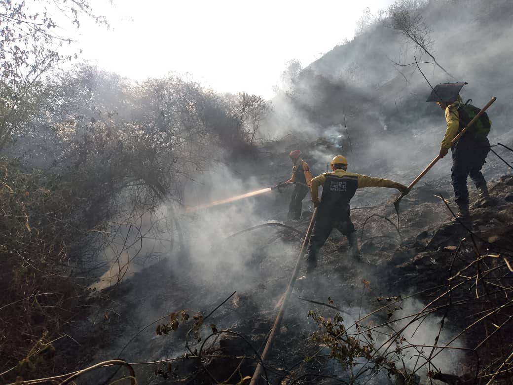 Nuevo incendio en el Ávila cerca del Teleférico - Agencia Carabobeña de Noticias - Agencia ACN- Noticias Carabobo