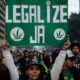 Supremo de Brasil despenalizó uso marihuana - Agencia Carabobeña de Noticias - Agencia ACN- Noticias Carabobo