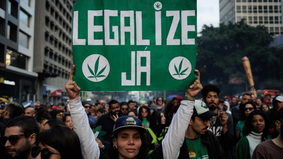 Supremo de Brasil despenalizó uso marihuana - Agencia Carabobeña de Noticias - Agencia ACN- Noticias Carabobo
