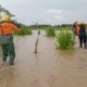 Crecida del Río Santo Domingo en Barinas causó afectaciones - Agencia Carabobeña de Noticias - Agencia ACN- Noticias Carabobo