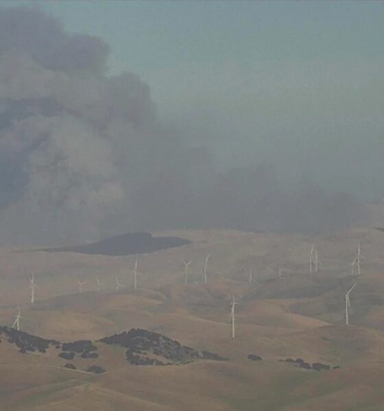 incendio forestal en San Joaquín, California obligó a evacuar residnetes -Agencia Carabobeña de Noticias - Agencia ACN- Noticias Carabobo
