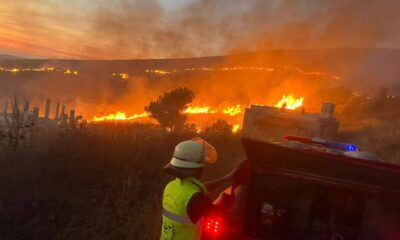 Incendios arrasan Israel tras violentos ataques de -Agencia Carabobeña de Noticias – ACN – Noticias internacionales