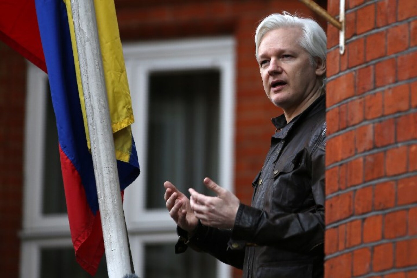Julian Assange,Fundador de WikiLeaks saldría libre - Agencia Carabobeña de Noticias - Agencia ACN- Noticias Carabobo