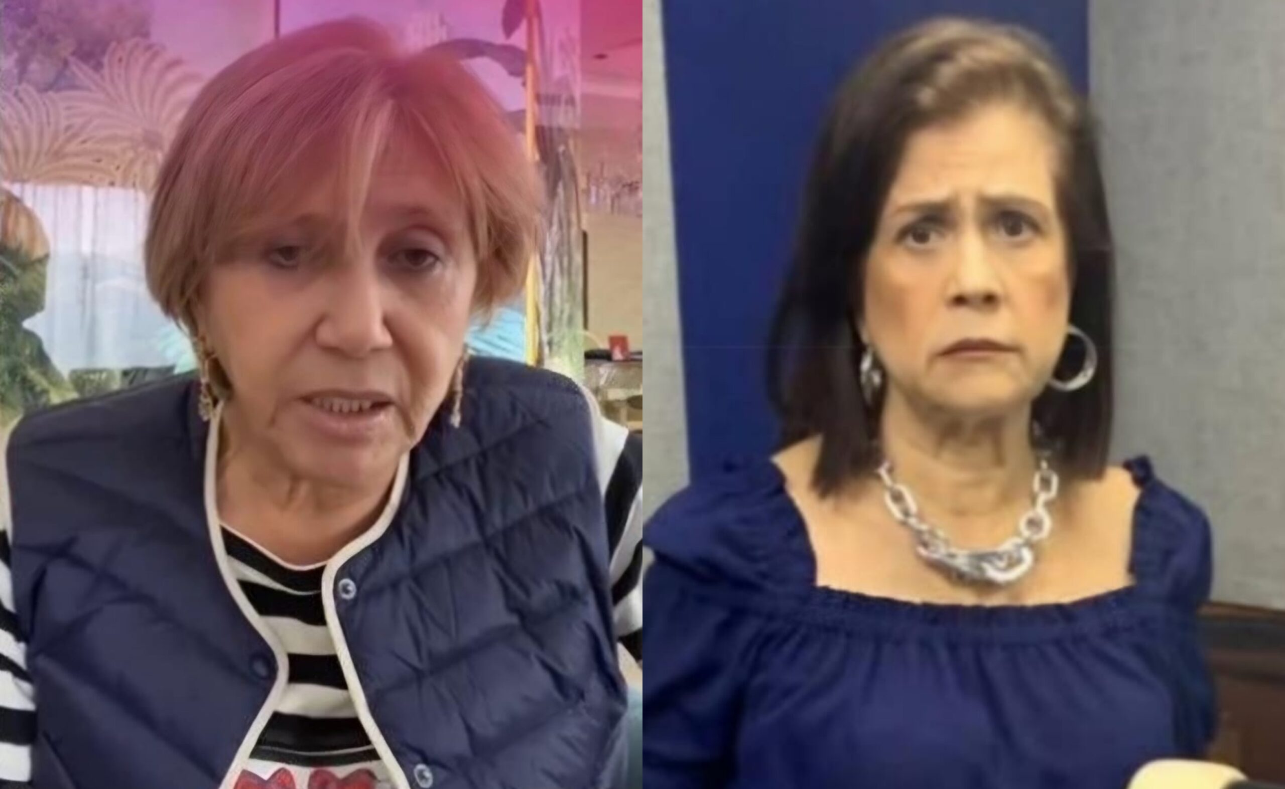 MP dictó orden de aprehensión contra Gladys Valentiner y Charito Rojas-Agencia Carabobeña de Noticias – ACN – Sucesos