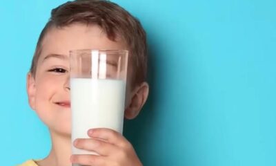 diferencias bebida láctea