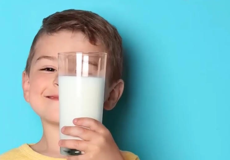 diferencias bebida láctea