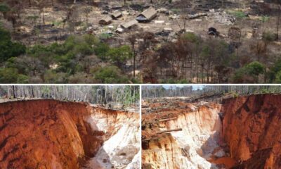 SOS Orinoco desmintió reforestación en mina - Agencia Carabobeña de Noticia - Agencia ACN - Noticias nacional