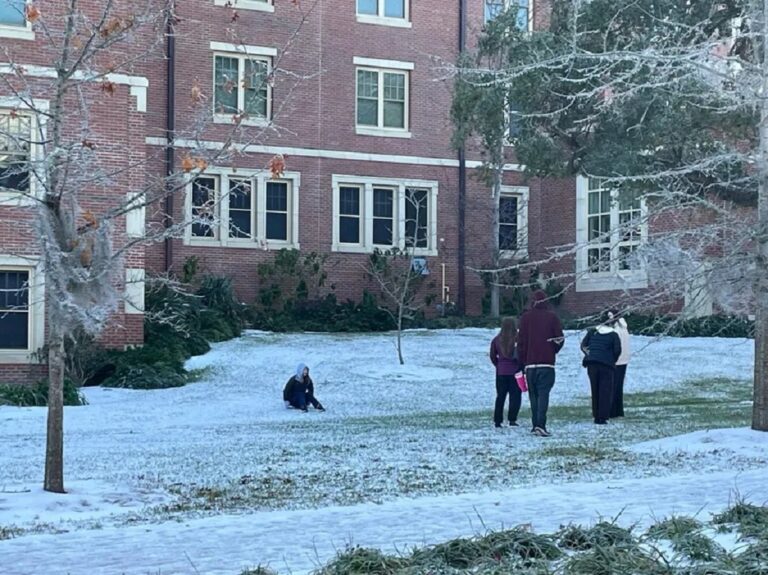 Tormenta de nieve en Florida deja sin electricidad a 34 mil usuarios