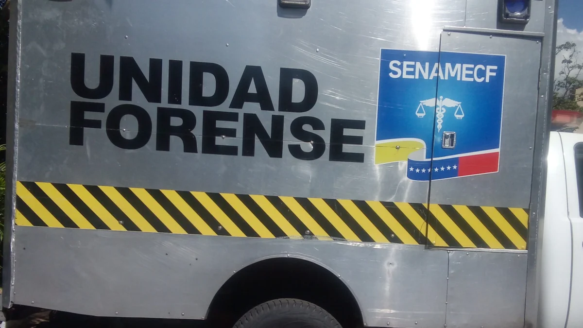 Asesinó a su madre y se lanzó de un piso 15