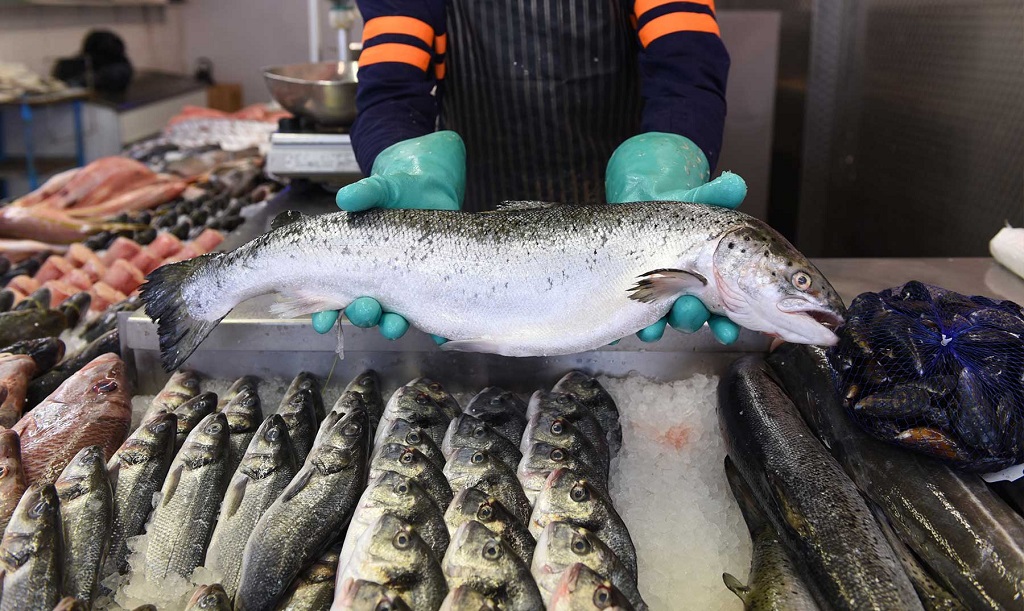 Consumo de pescado per cápita en el país - Agencia Carabobeña de Noticias