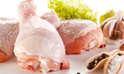 producción de carne de pollo aumentó - Agencia Carabobeña de Noticias