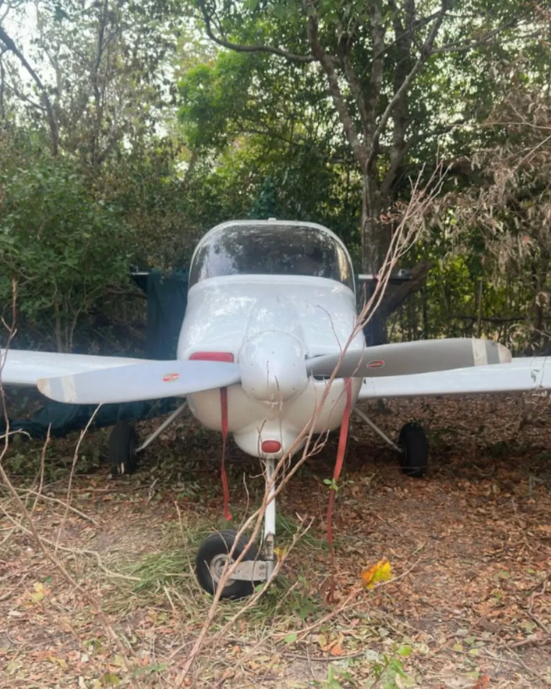 Destruyeron avionetas y pista clandestina utilizadas por el narcotráfico